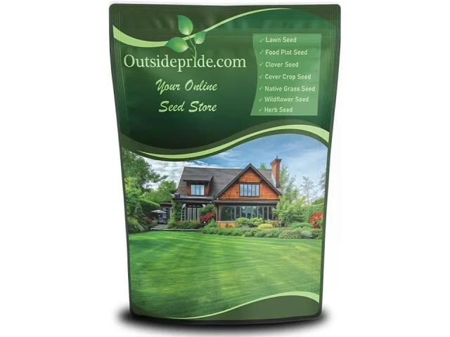 Outsidepride Midnight Kentucky Bluegrass Seed – Is It Worth