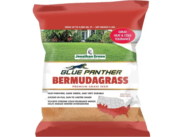 Jonathan Green Blue Panther Bermudagrass Grass Seed