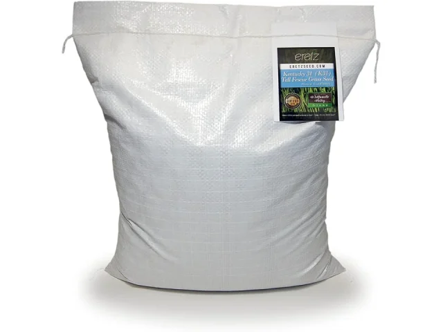 Kentucky 31 K31 Tall Fescue Grass Seed by Eretz – In-Depth