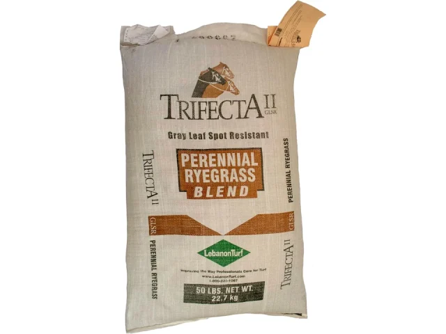 Trifecta II Gray Leaf Spot Resistant Perennial Ryegrass
