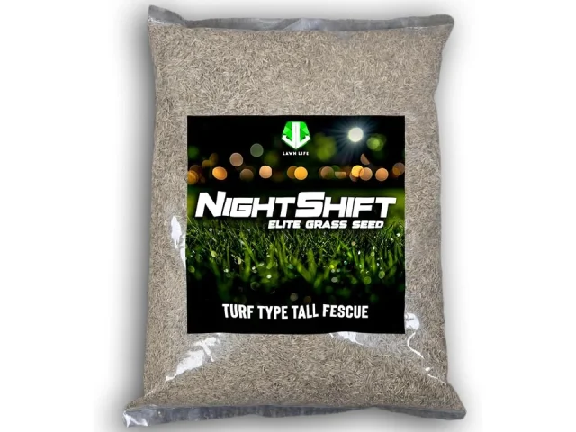 NightShift Turf Type Tall Fescue Grass Seed – Honest Review