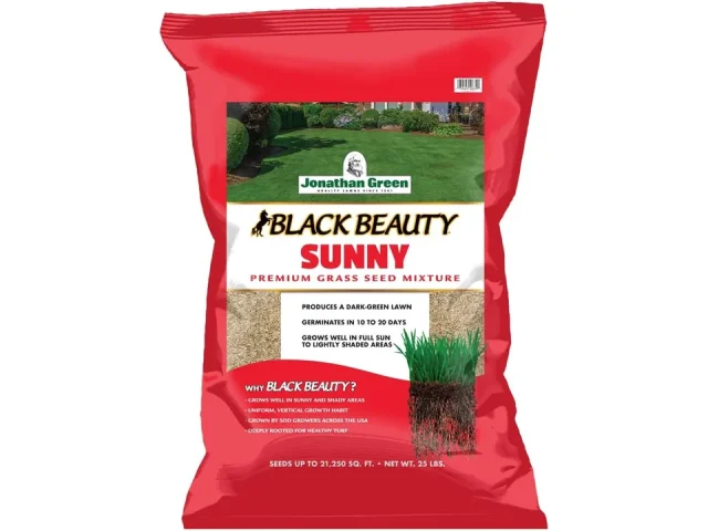 Jonathan Green Black Beauty Sunny Grass Seed – Detailed