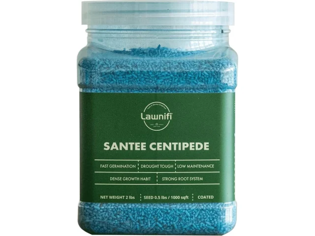 Lawnifi Santee Centipede Grass Seeds: Honest Review