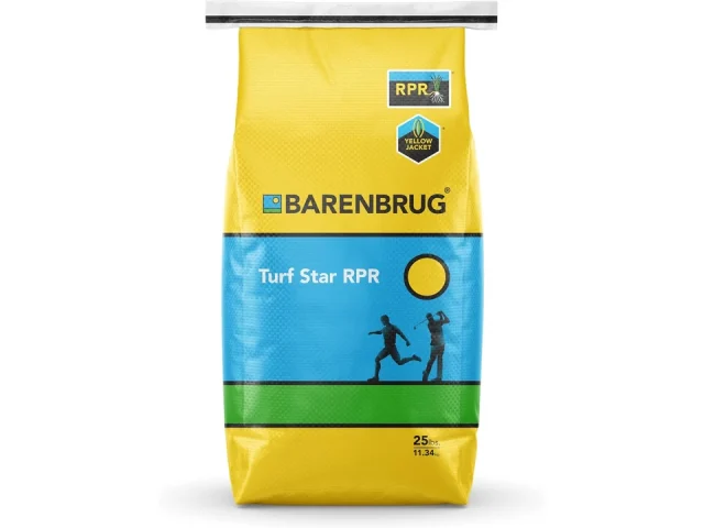 Barenbrug Turf Star: Complete Review