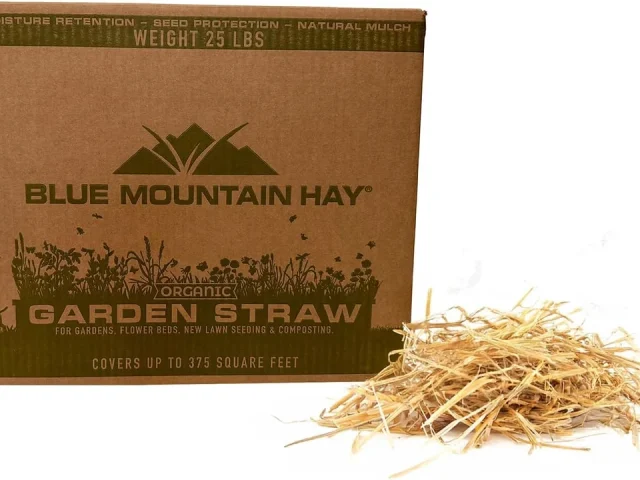 Blue Mountain Hay Organic Garden Straw: Detailed Review