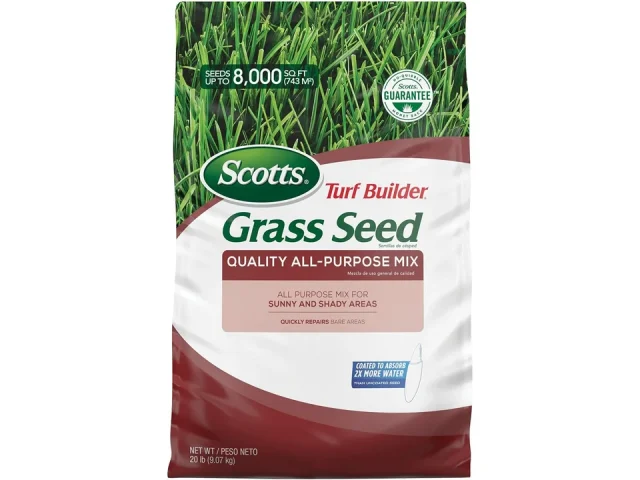 Scotts Turf Builder Grass Seed – In-Depth Review