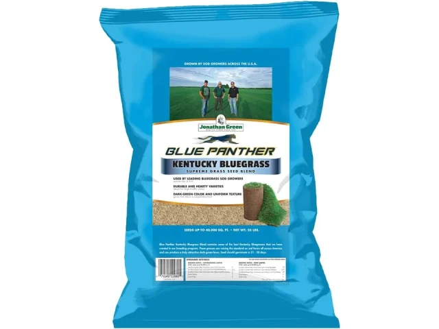 Jonathan Green Blue Panther Kentucky Bluegrass Grass Seed