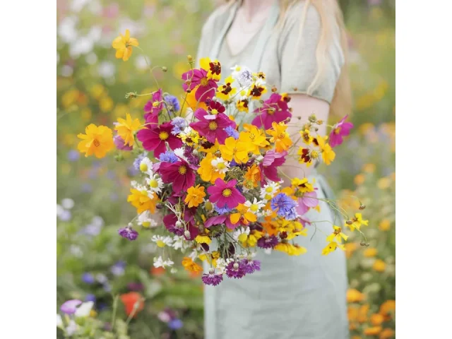 Eden Brothers Midwest Wildflower Mixed Seeds – Detailed