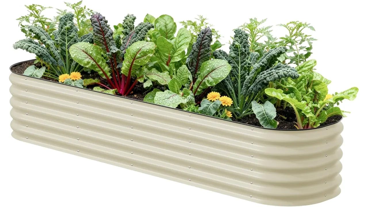 Vego garden Raised Garden Bed Kits – Honest Review