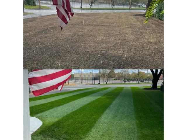 NightShift Perennial Ryegrass – Complete Review