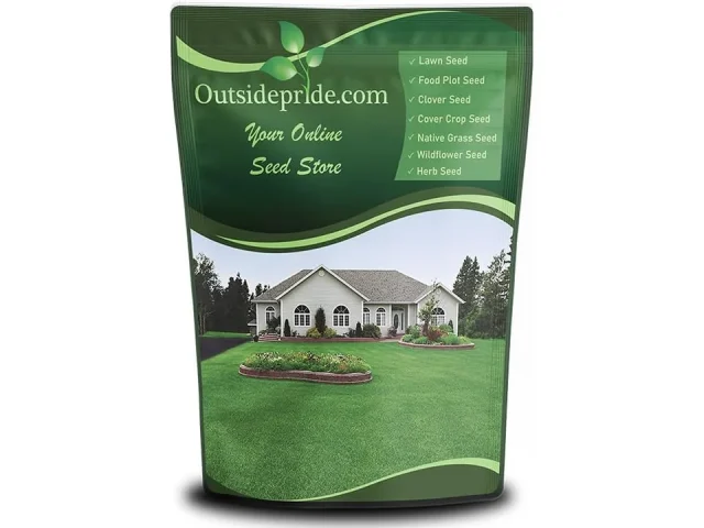 Outsidepride Perennial Buffalo Grass Seed – In-Depth Review
