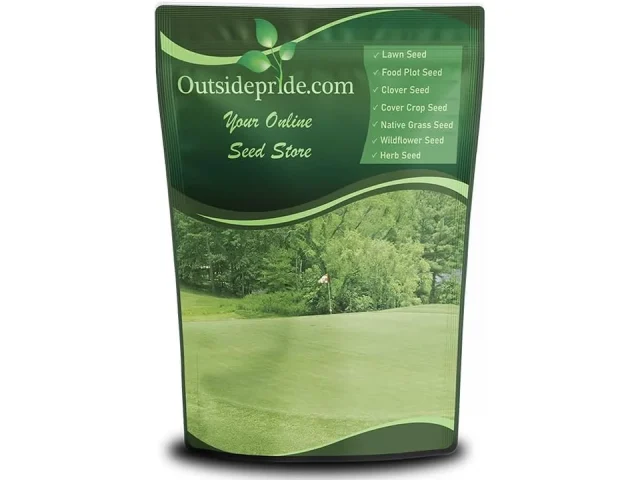 Outsidepride Yukon Bermuda Grass Seed – In-Depth Review