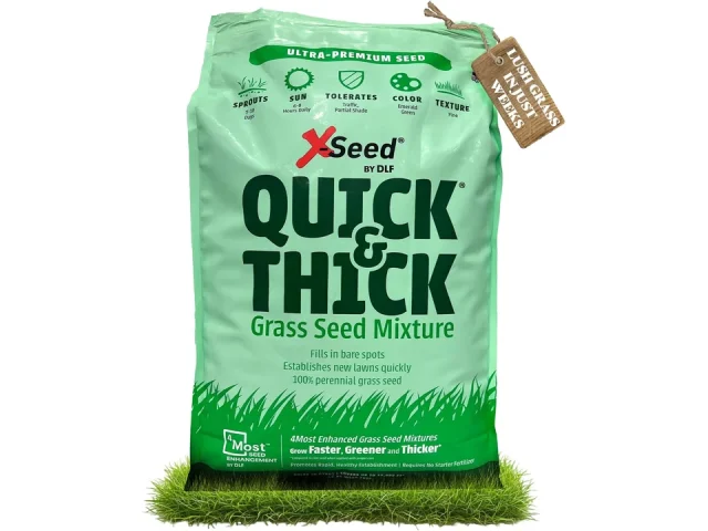 X-Seed Ultra Premium Quick Thick Lawn Seed – In-Depth Review