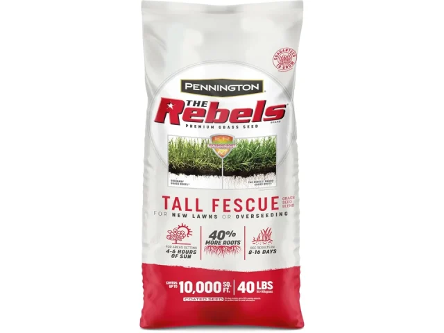Pennington The Rebels Tall Fescue Grass Seed Mix – Honest