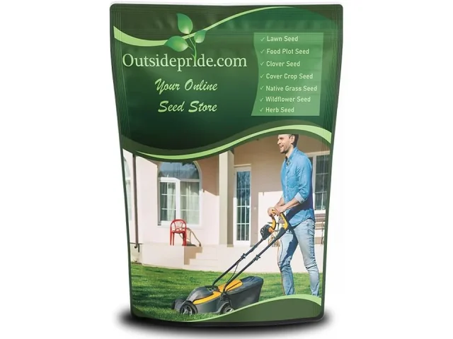 Outsidepride SPF-30 Hybrid Bluegrass Seeds – In-Depth Review