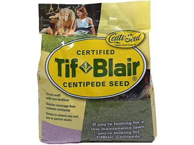 TifBlair Centipede Grass Seed Direct from The Farm – Honest