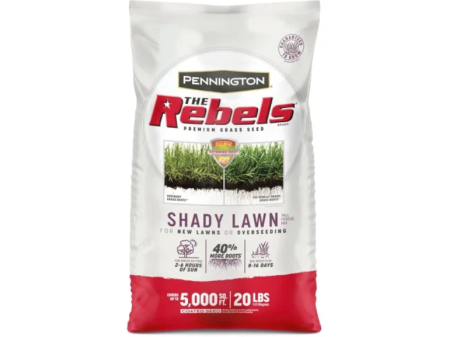 Pennington The Rebels Tall Fescue Shady Grass Seed