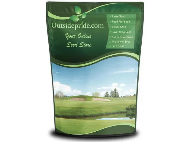 Outsidepride Royal TXD Bermuda Grass Seed – Complete Review