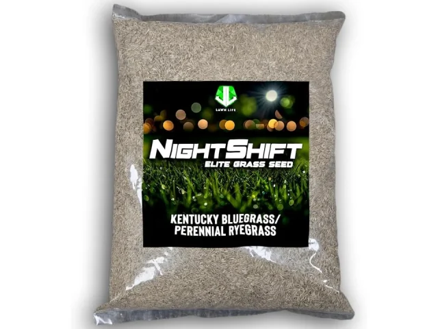 NightShift Kentucky Bluegrass & Perennial Ryegrass Grass