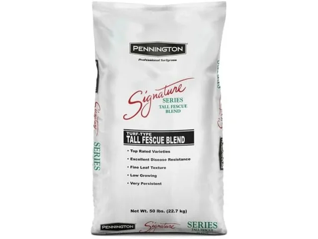 Pennington Signature Tall Fescue Blend – In-Depth Review