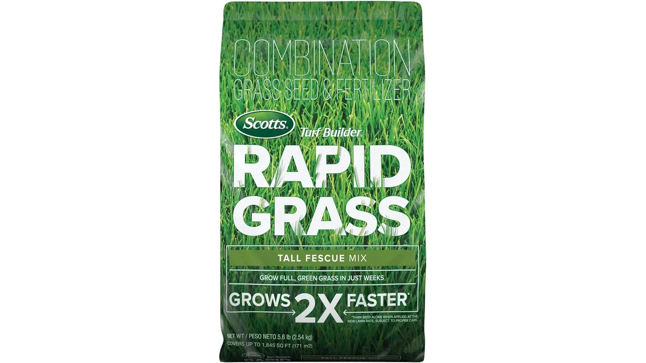 Scotts Turf Builder Rapid Grass Tall Fescue Mix – In-Depth