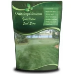featured 1131