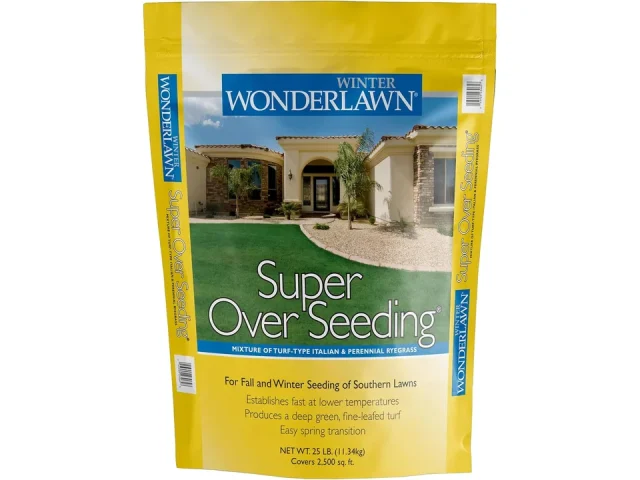 Barenbrug Winter Wonderlawn Grass Seed – Complete Review