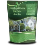 featured 1138