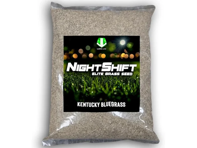 NightShift Kentucky Bluegrass Grass Seed – Honest Review