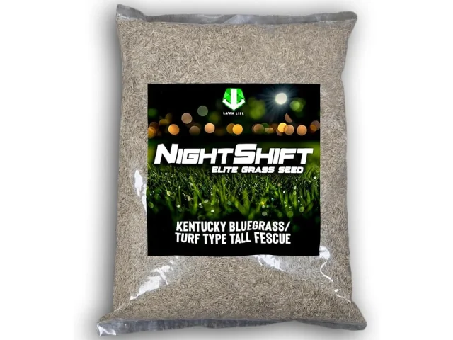 NightShift Kentucky Bluegrass Turf Type Tall Fescue Grass