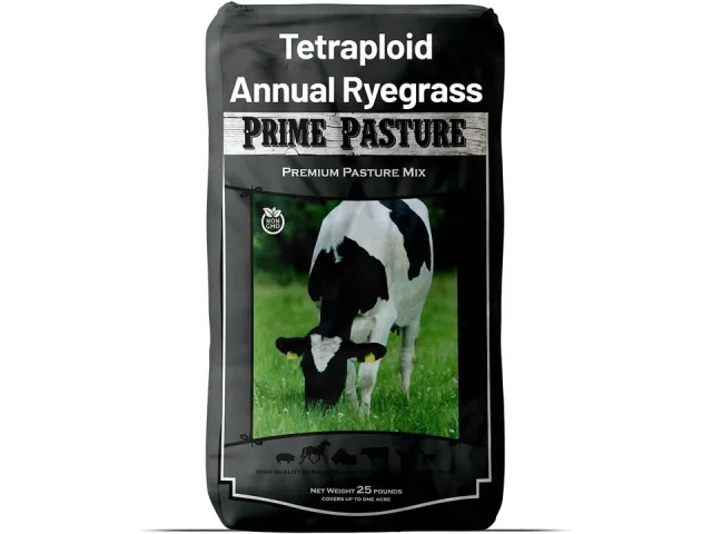Outsidepride Ryegrass Seeds – Buyer’s Guide