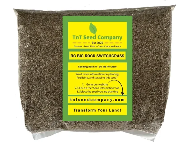 RC Big Rock Switchgrass – Complete Review