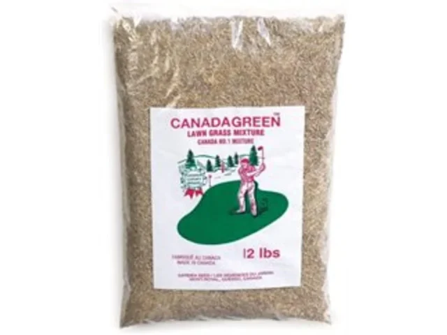 Canada Green Grass Lawn Seed – Complete Review