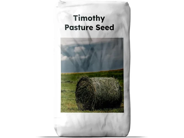 Outsidepride Climax Timothy Grass Seed – In-Depth Review