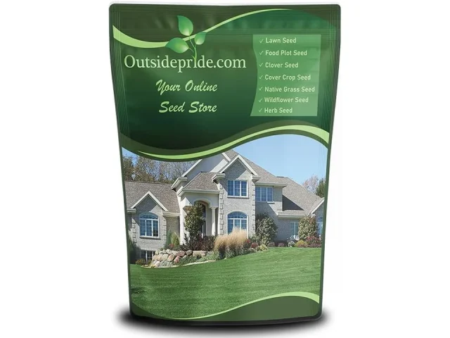 Outsidepride Combat Extreme Southern Grass Seeds – In-Depth