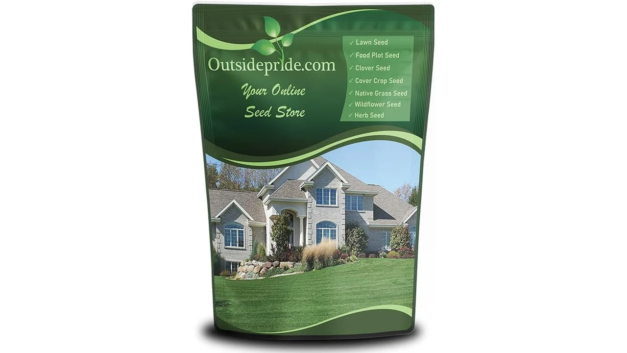 featured 1154