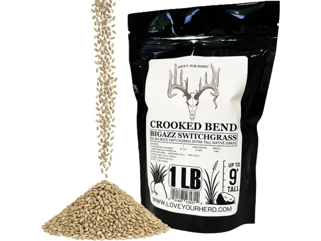 Crooked Bend BigAzz Switchgrass Seed – Honest Review