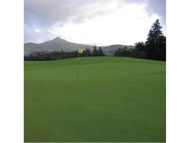 Creeping Bent Grass, 5 Pounds – In-Depth Review