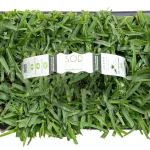 featured 1166