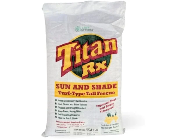 Titan RX Sun Shade Turf-Type Tall Fescue Grass Seed