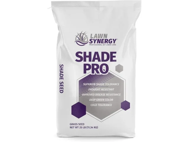 Shade Pro Grass Seed – Honest Review