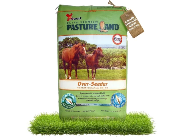 X-Seed Land Over-Seeder Pasture Seed – Honest Review