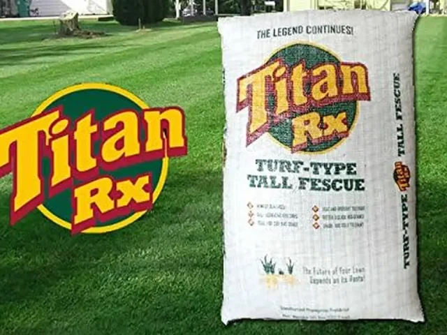 SeedRanch Titan Rx Tall Fescue Grass Seeds – Is It Worth