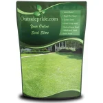 featured 1179