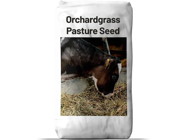 Outsidepride Grazer Orchard Pasture Grass Seed – 25