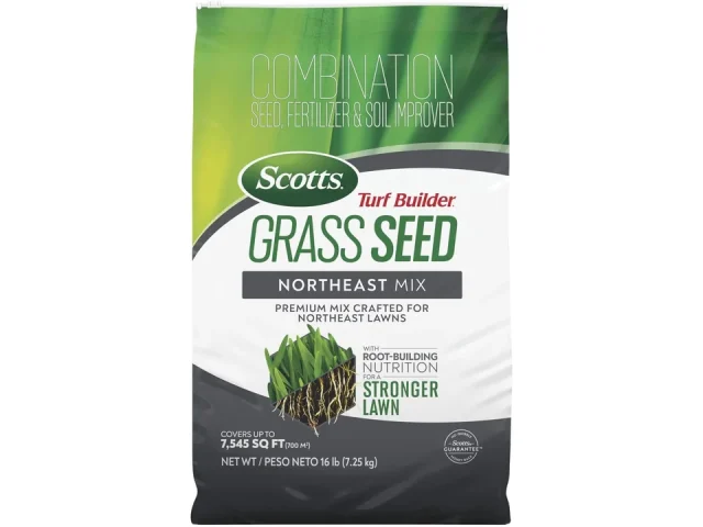 Scotts Turf Builder Grass Seed Northeast Mix: Pros & Cons
