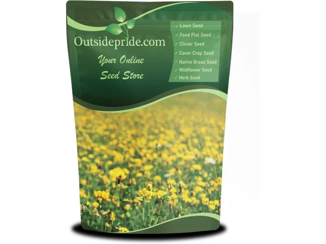Outsidepride Perennial Birdsfoot Trefoil Seed – Pros & Cons