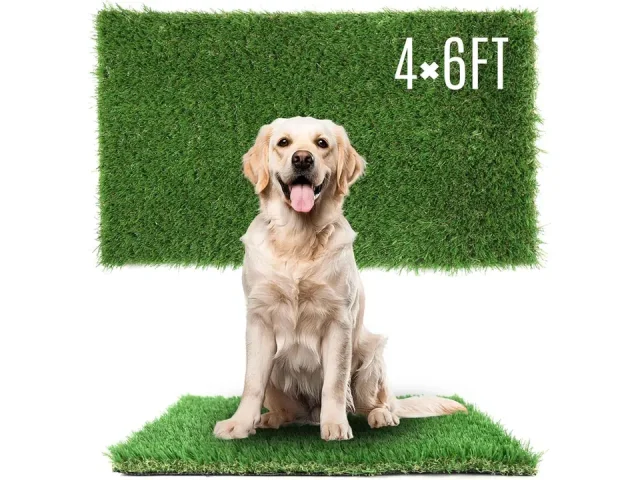 1.38″ Artificial Grass Turf 4 x 6 FT – Honest Review