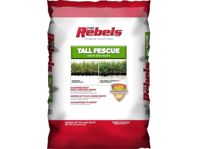 Pennington Rebel Tall Fescue Mixture Powder Coated Seed