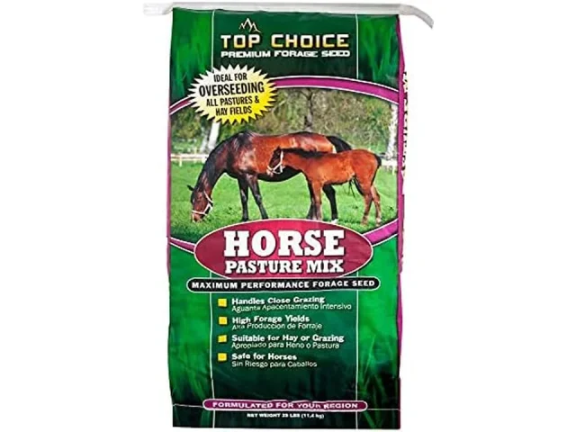 Mountain View Seeds 100371 Horse Pasture Mix Grass – Pros &